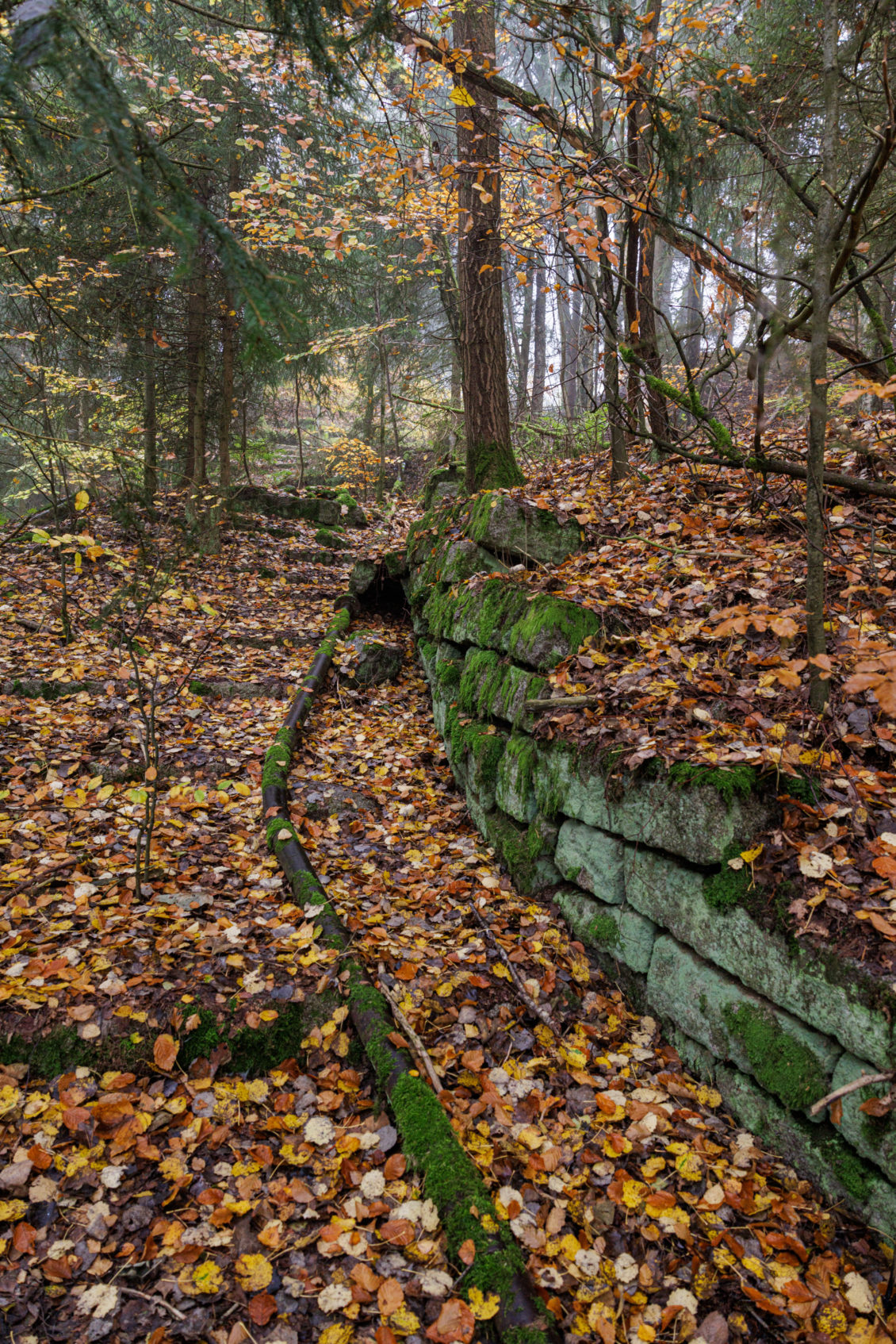 Die ehemalige Häftlingstreppe im Steinbruchareal im Jahr 2024 Foto: KZ-Gedenkstätte Flossenbürg / Th. Dashuber