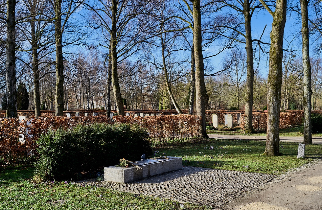 Fotografie eines Friedhofs mit kahlen Bäumen, einem Grabstein und einer niedrigen Mauer im Hintergrund bei klarem Himmel. Szene zeigt ruhige, gepflegte Umgebung mit Wegen aus Kopfsteinpflaster und ersten Frühlingsblumen.