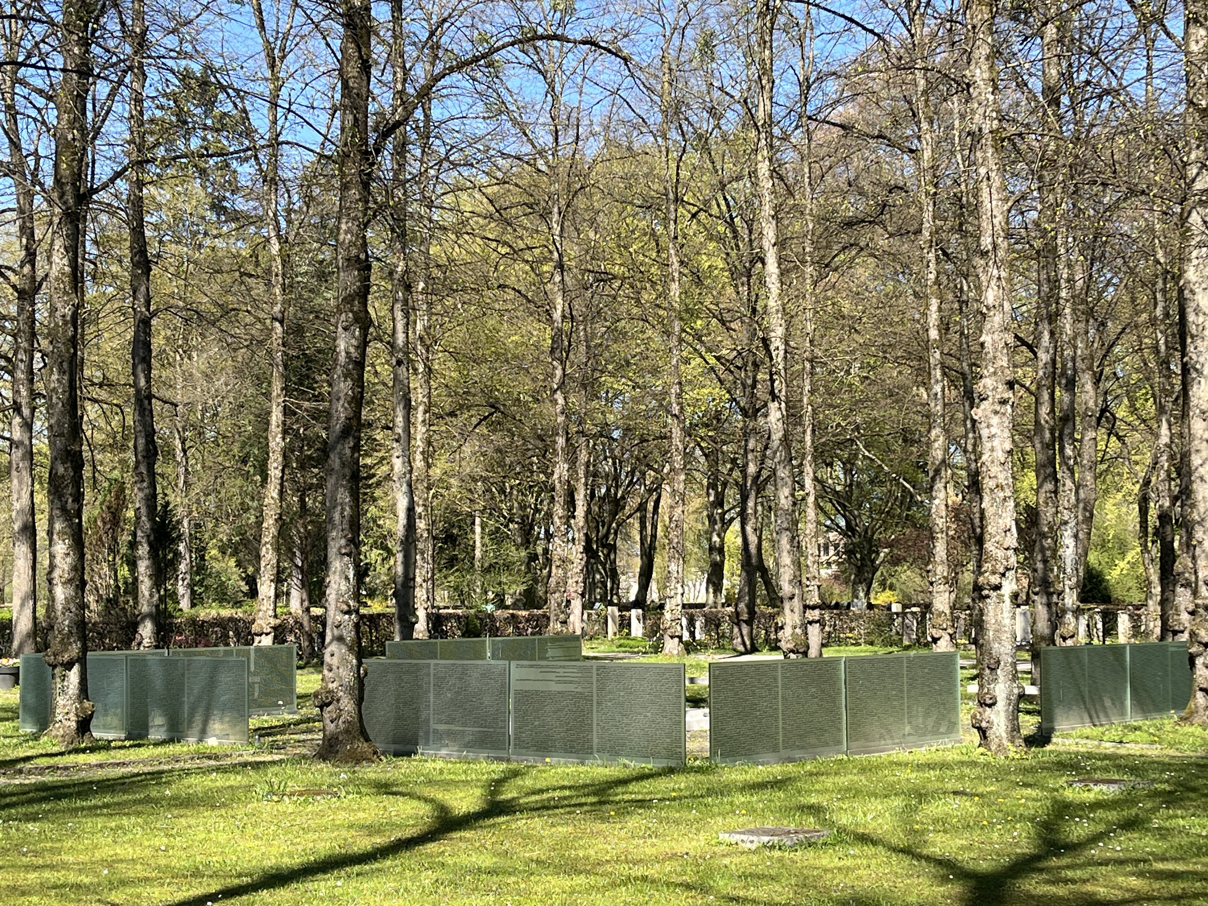 Im Wald sind Tafeln im Rechteck  zueinander angeordnet, darauf stehen die Namen der Verstorbenen. 