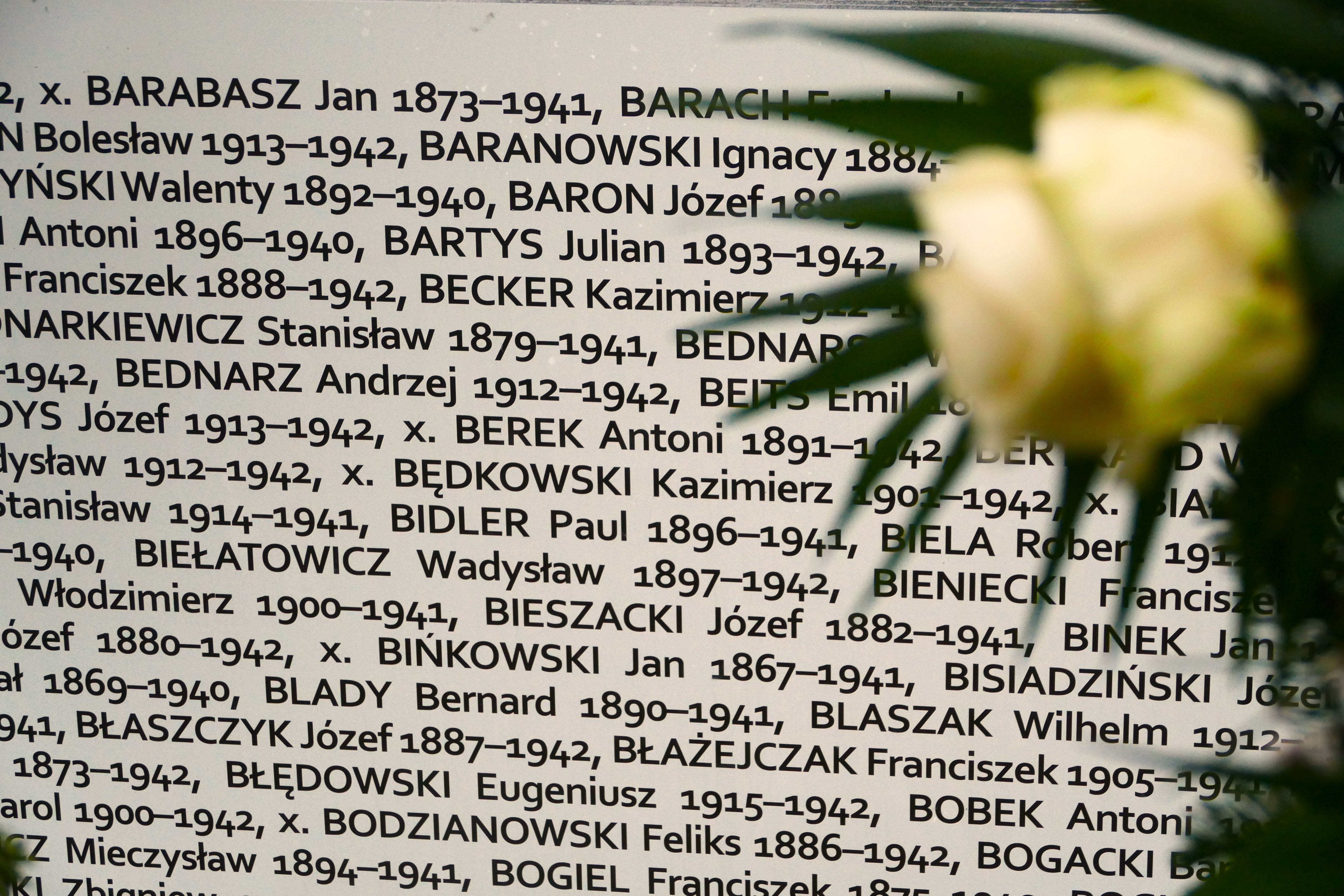Bild: Detail des KZ-Friedhofs Ehrenhain I am Friedhof Perlacher Forst. Mehr als die Hälfte der am Ehrenhain I Bestatteten waren polnische Bürger. Foto: Stiftung Bayerische Gedenkstätten
