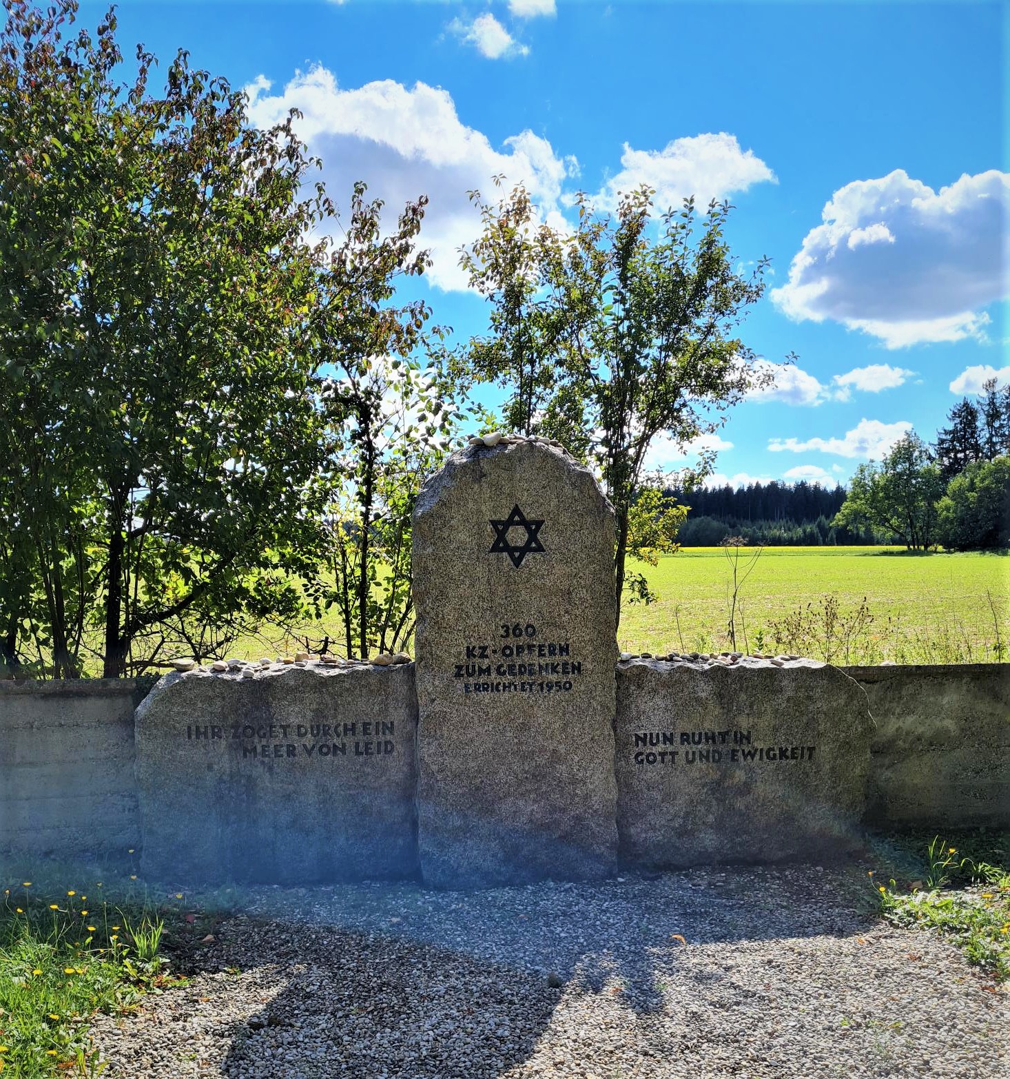 Hurlach3 bea.jpg